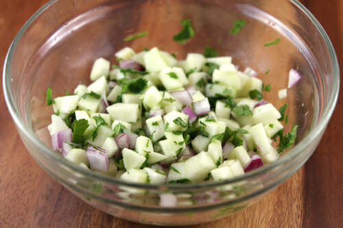 Apple Salsa Apple Salsa