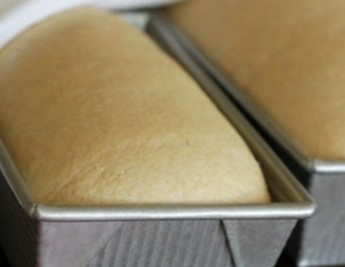 A loaf of properly-risen bread dough in a bread pan, ready for the oven.