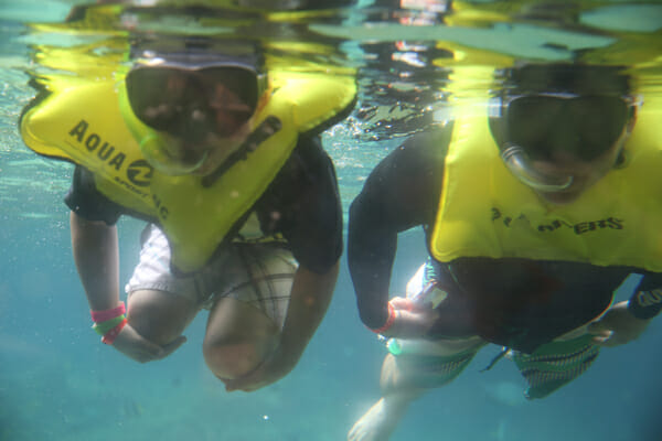 reef swim