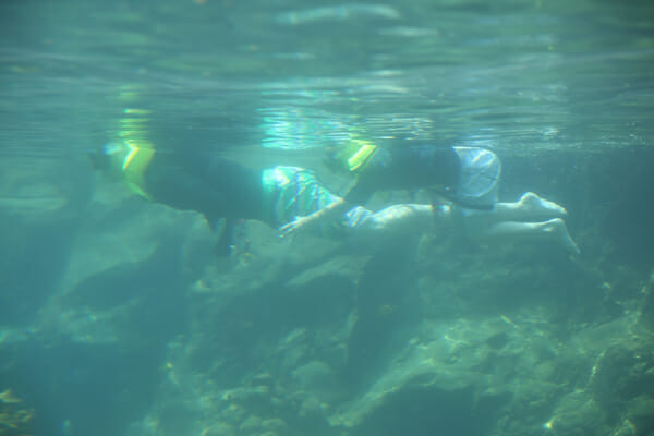 reef