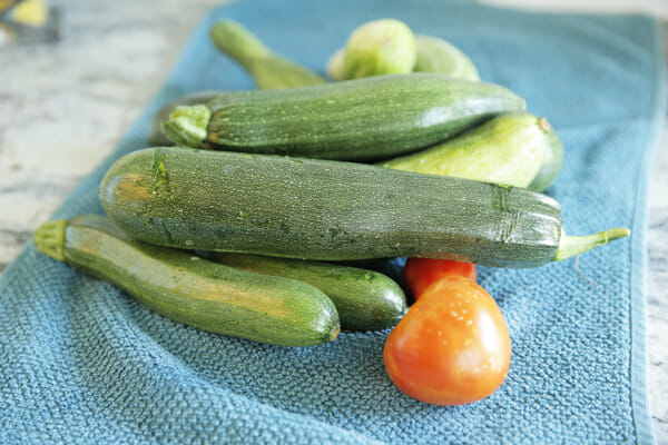 Zucchini