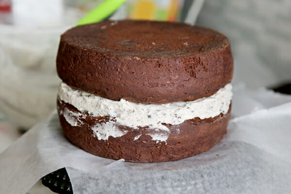 sandwiched cake
