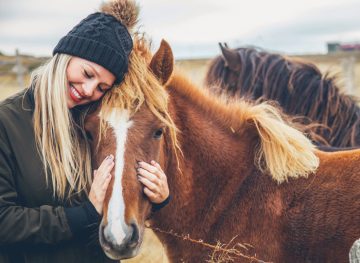 Icelandic Horses