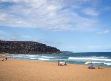 Where to find the best food in Sydney