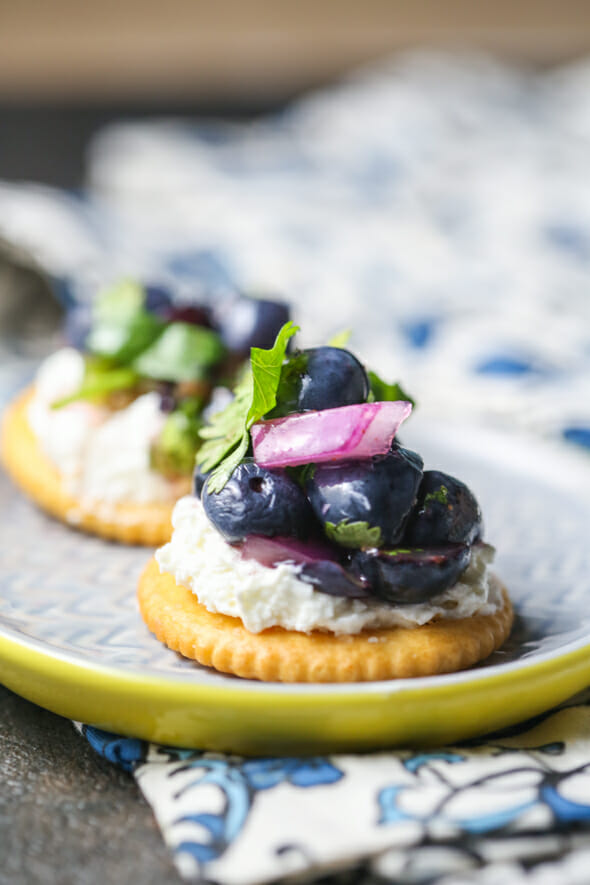 Blueberry Salsa-4