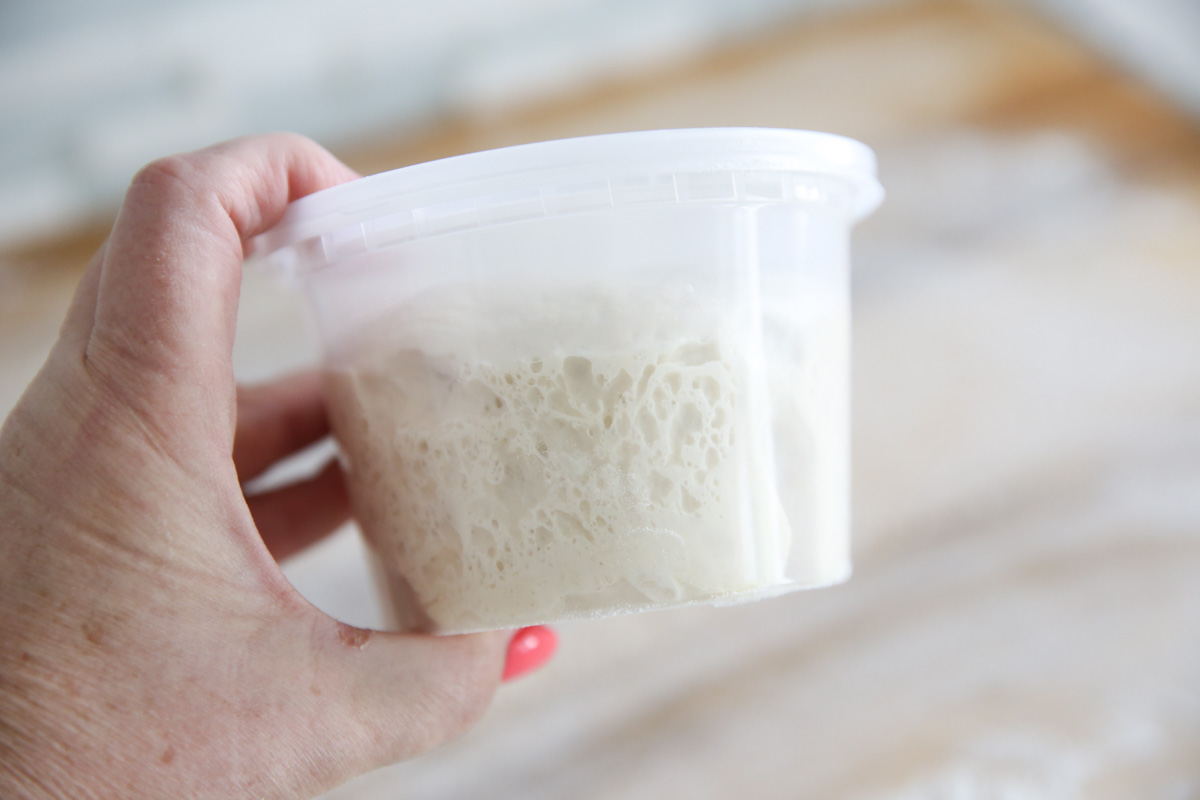 pizza dough rising