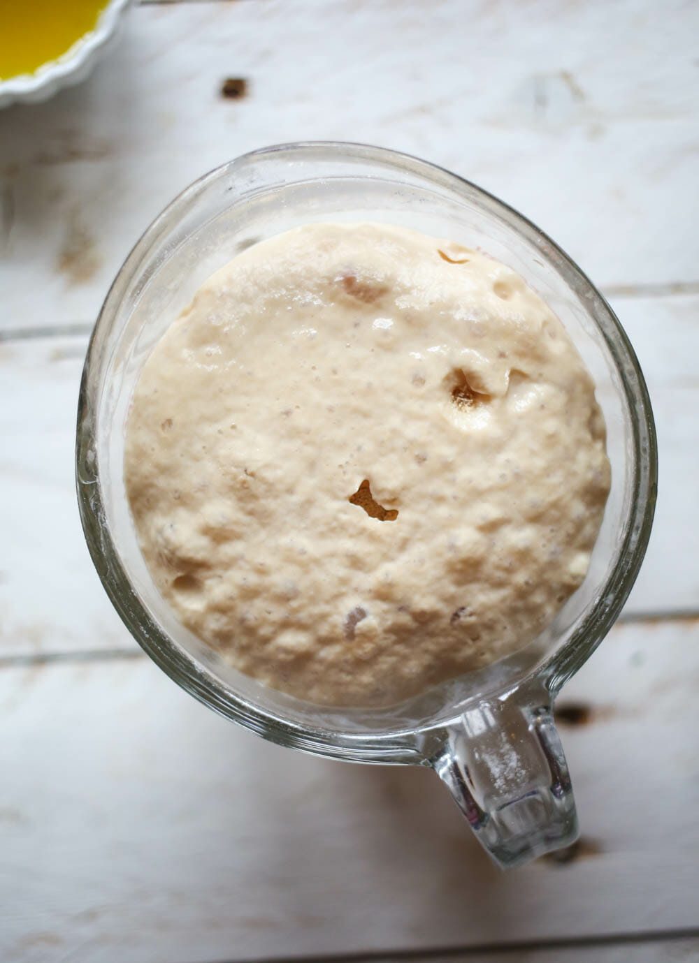 bloomed yeast