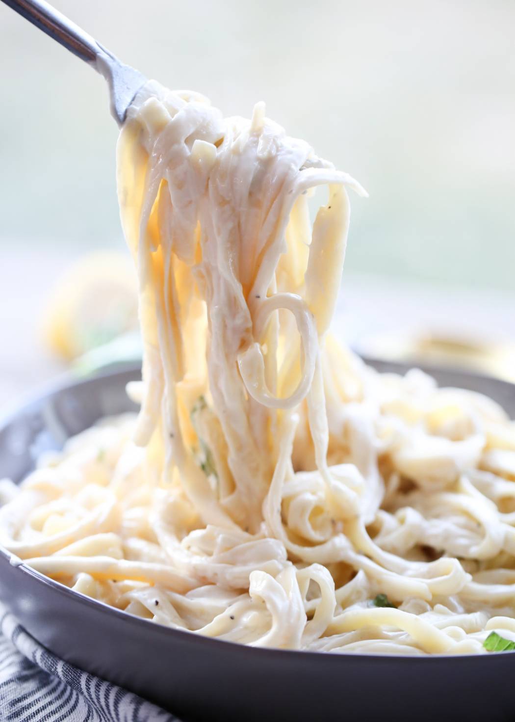 Fork full of Fettuccine
