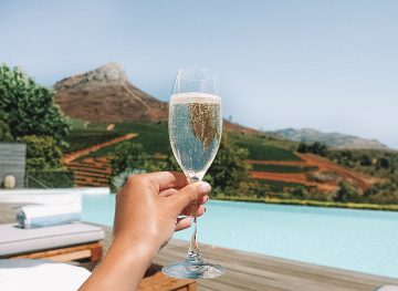 The Best Wine Farms in the Cape Winelands