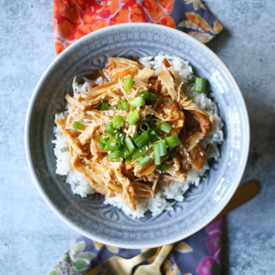 slow cooker honey garlic chicken from our best bites