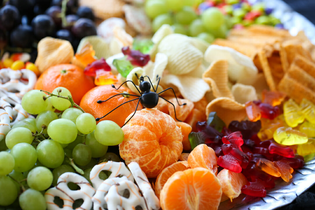 Spider on Snack Tray