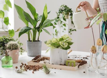 sustainability eco travel