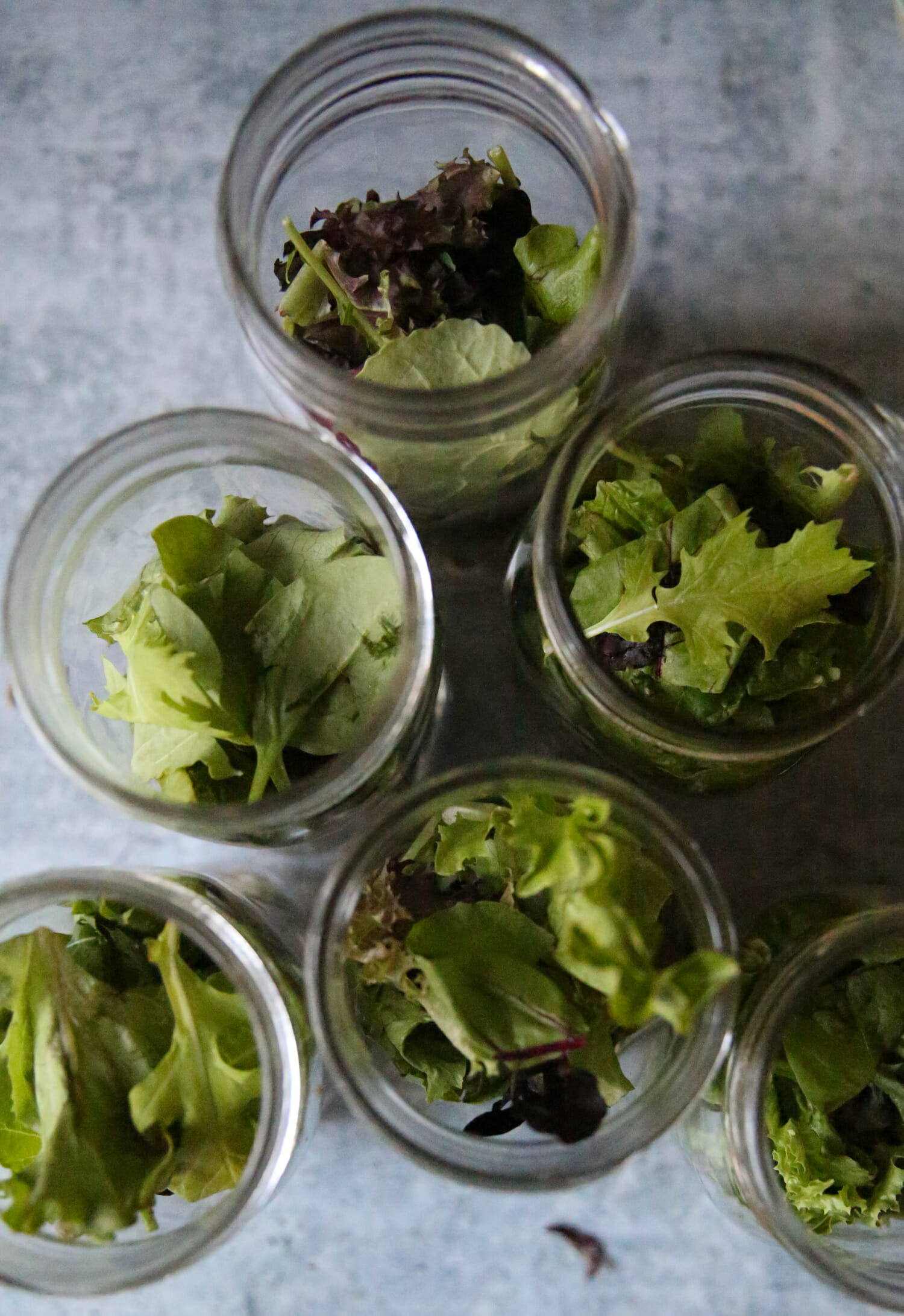 salad greens in jars