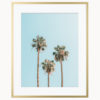 Palm Tree Art Print Palm Tree Art Print
