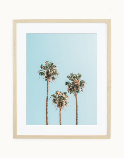 Palm Tree Art Print Palm Tree Art Print