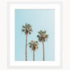 Palm Tree Art Print Palm Tree Art Print
