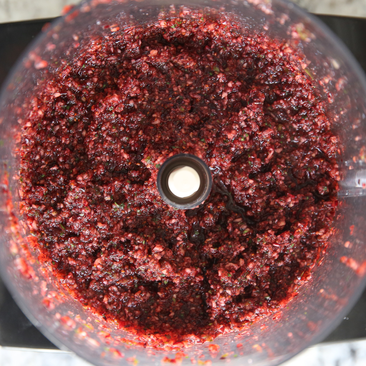 cranberry salsa in a food processor