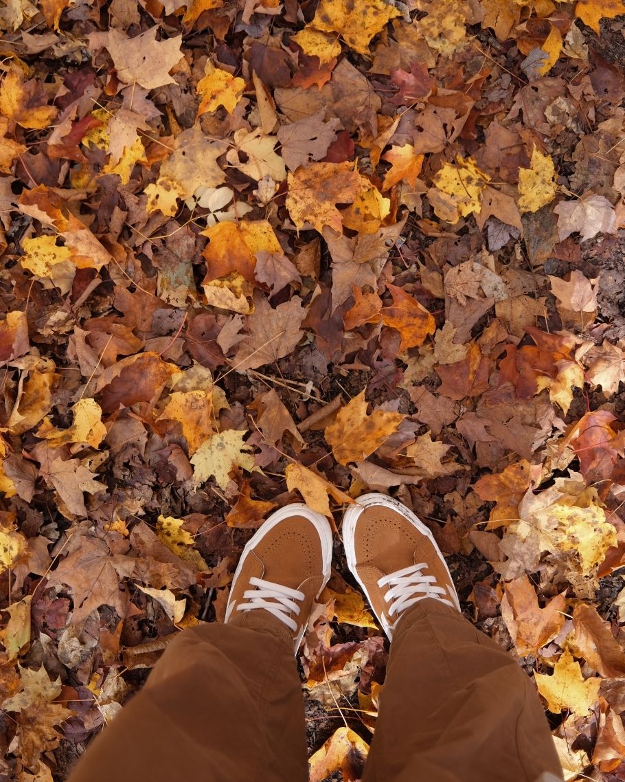 New England Fall Map Product (2)