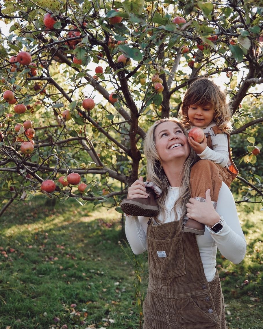 New England Fall Map Product (3)