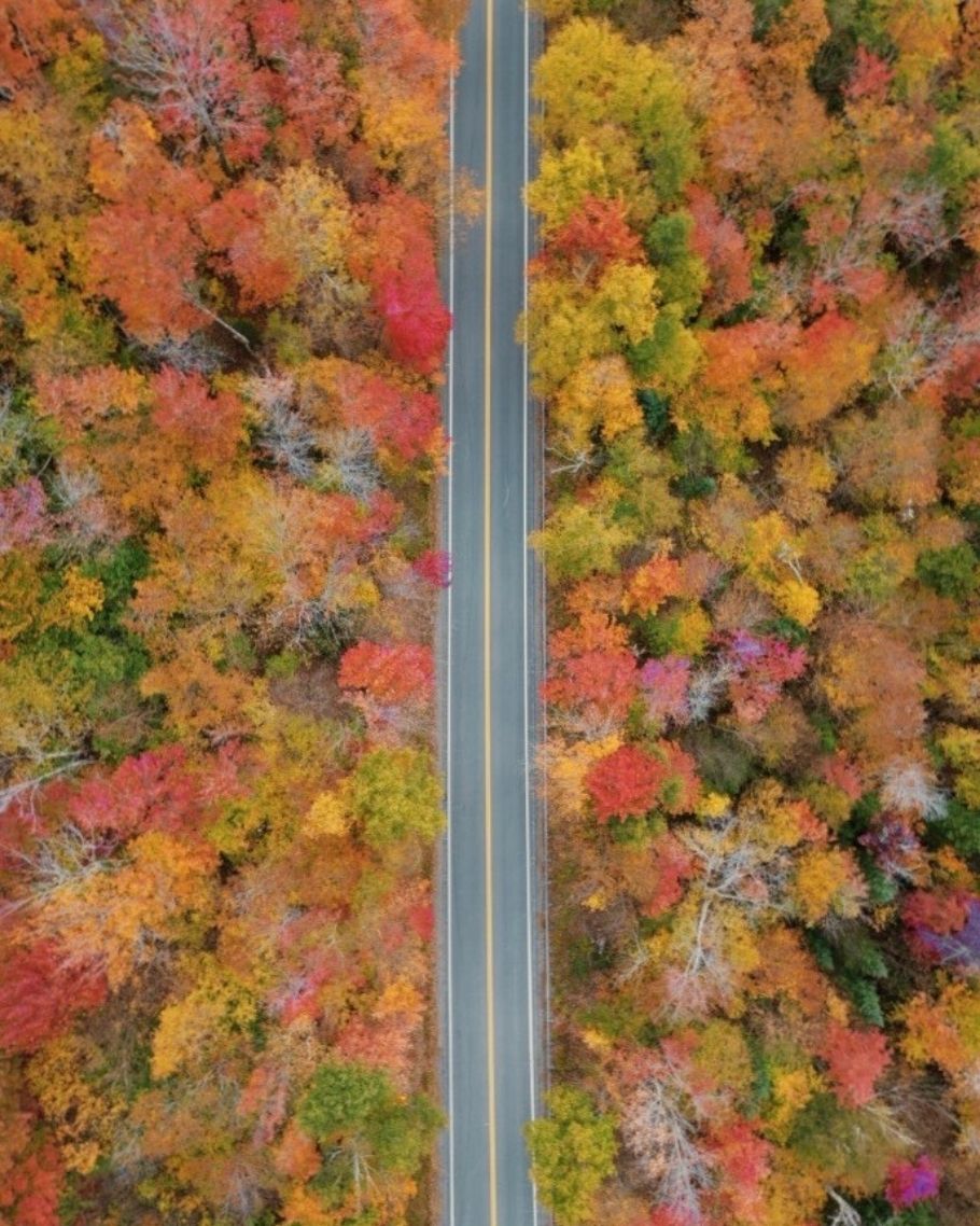 New England Fall Map Product (4)