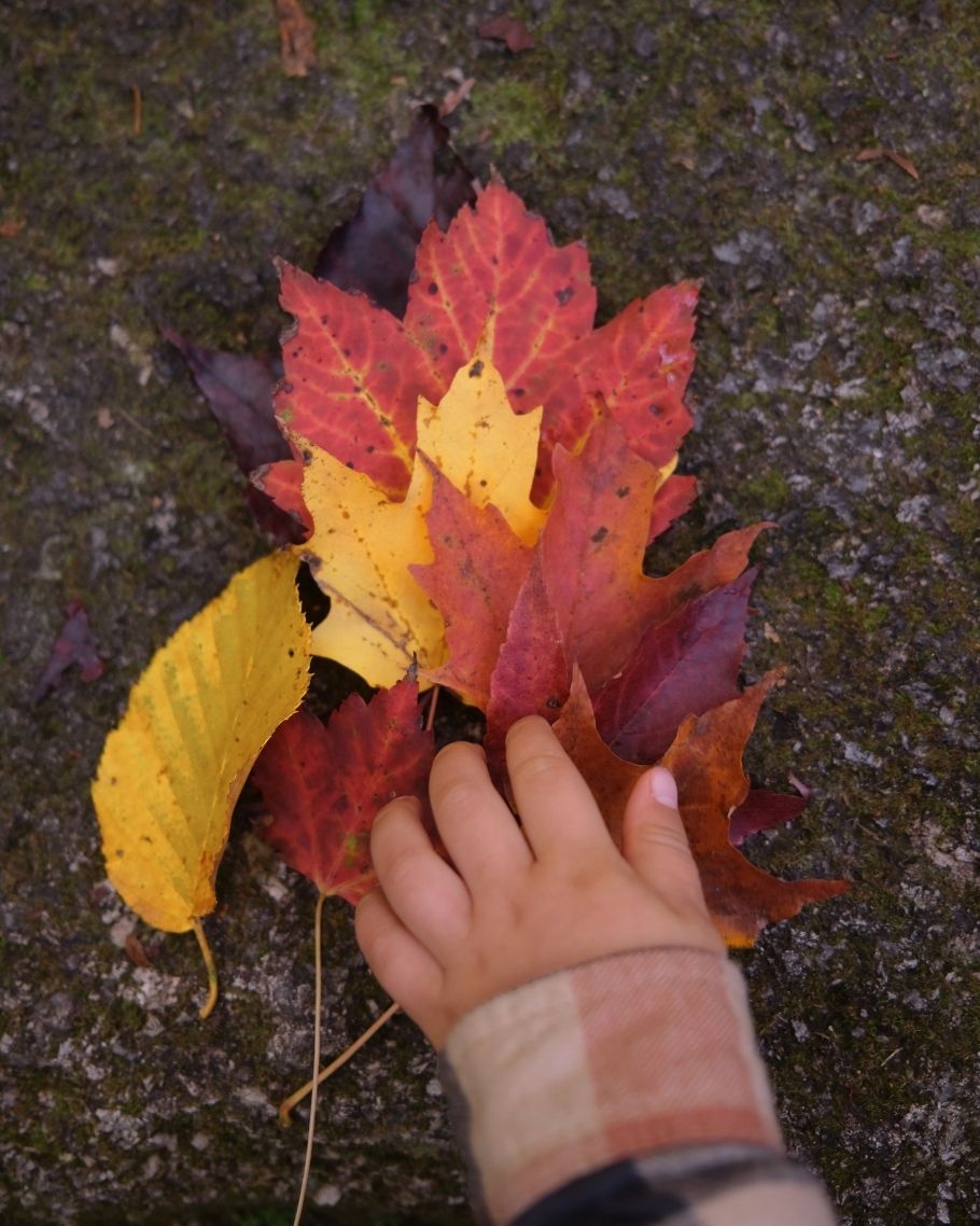 New England Fall Map Product (6)