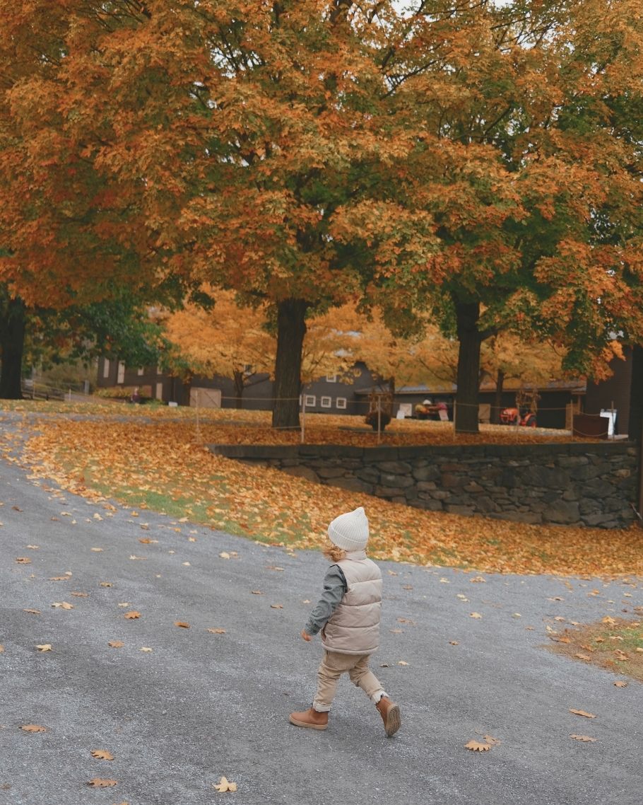 New England Fall Map Product (7)